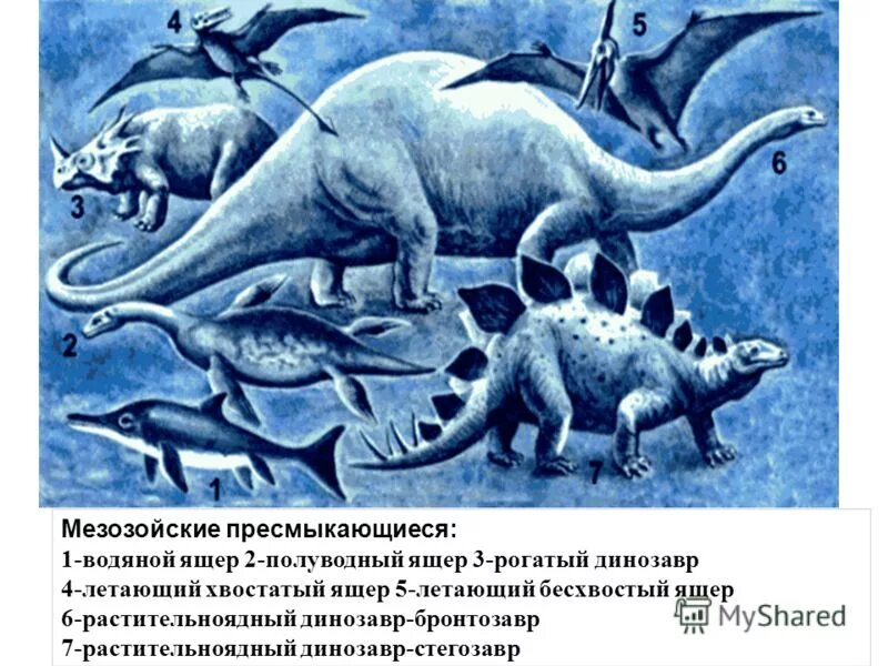 Мезозойские рептилии. Мезозой периоды. Ихтиозавры вымершие рептилии. Полуводный динозавр.