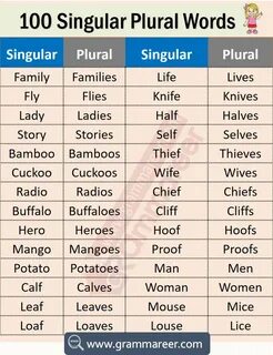 Words in the plural перевод