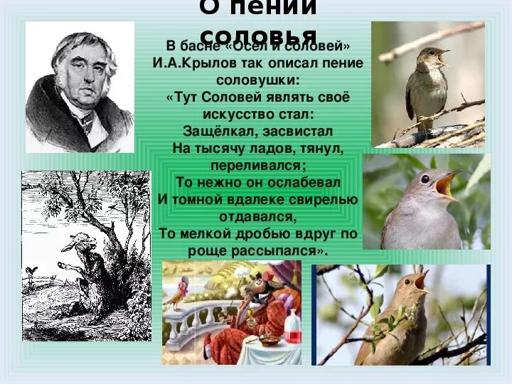 Крылов Соловей. Крылов тут Соловей являть своё искусство стал. Басня Крылова Соловей. Тут Соловей являть свое искусство стал. Стихотворение крылова соловей