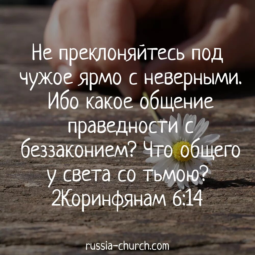 Цитаты из библии. Стихи из библии. библейские цитаты. христианские цитаты.