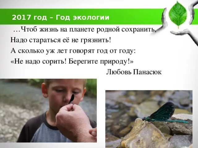 Сочинение берегите природу с числительными. Выступление берегите природу. публичное выступление берегите природу. публичная речь берегите природу. публичное выступление по экологии берегите природу.