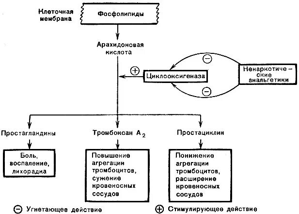 Механизм анальгетиков. Механизм действия ненаркотических анальгетиков схема. Анальгетики препараты механизм действия. Механизм обезболивающего действия ненаркотических анальгетиков. Механизм болеутоляющего действия ненаркотических анальгетиков.