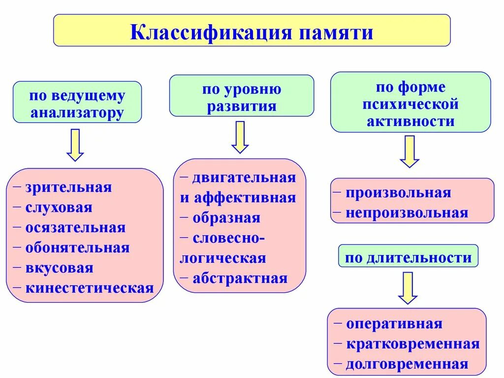 Какие типы памяти вы знаете. Классификация видов памяти в психологии. Классификация основных видов памяти схема. Общее понятие памяти виды памяти. Научная классификация видов памяти.