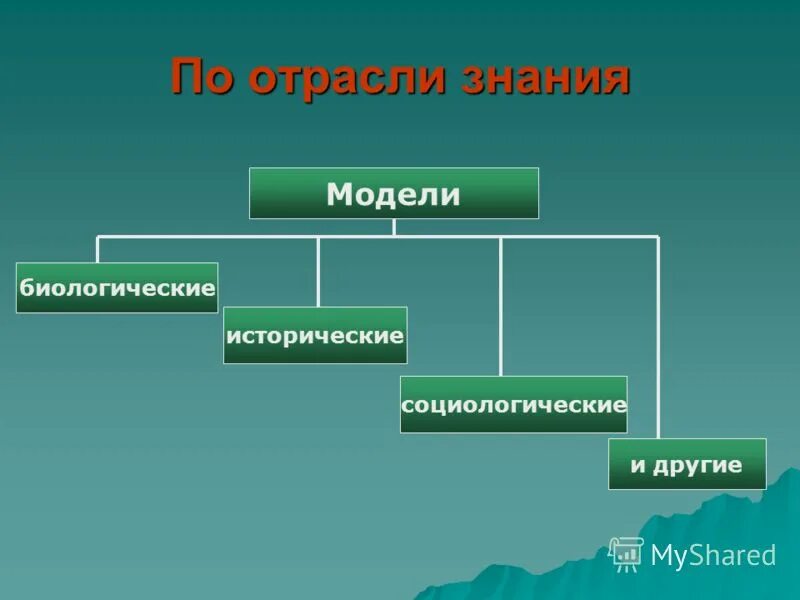 Экономическая отрасль знаний. Отрасли знаний. Модели по отрасли знаний. Классификация моделей по отрасли знаний. Биологические исторические модели.