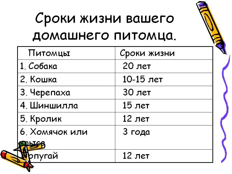 Продолжительность жизни животных 1 класс таблица. Продолжительность жизни домашних животных таблица. Сколько лет живут животные таблица. Сколько лет живут животные таблица 1.