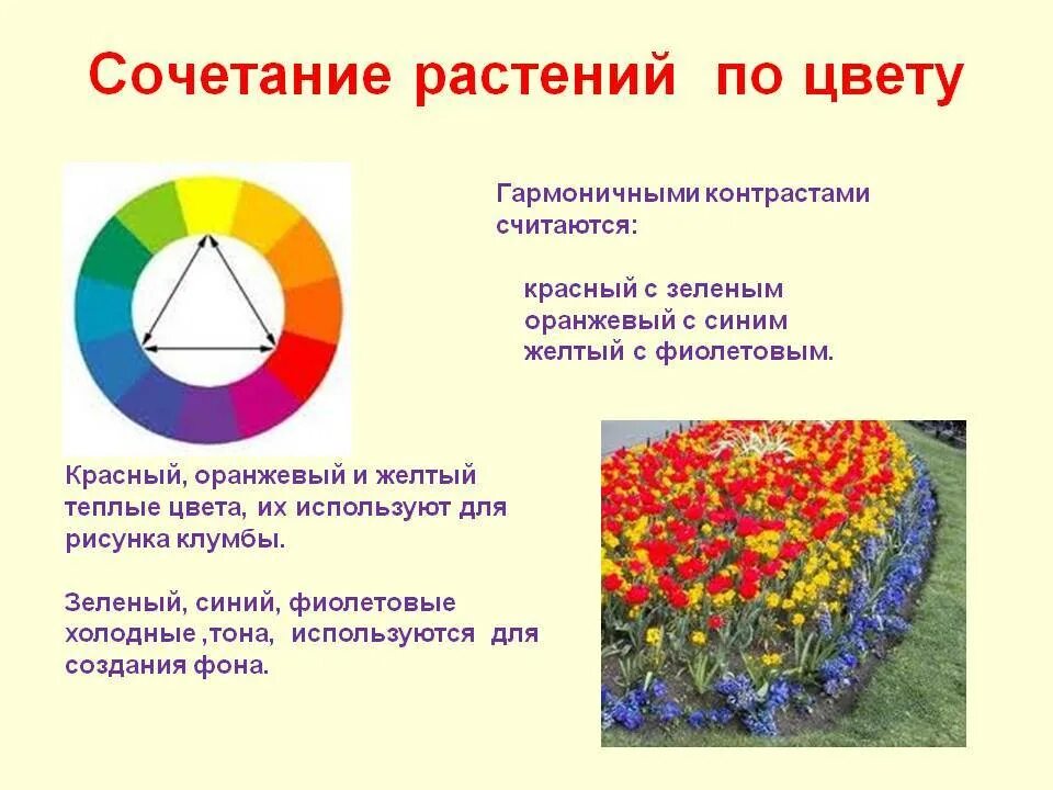 Цветовой круг иттена сочетание цветов. Цветовые гармонии. Колор романюк палитра. Контрастные сочетания цветов. Гармоничное сочетание контрастных цветов.