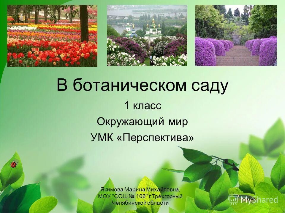 В саду 1 класс. Ботанический сад в окружающем мире. ботанический сад презентация. в ботаническом саду окружающий мир 1 класс. растения в ботаническом саду 1 класс.