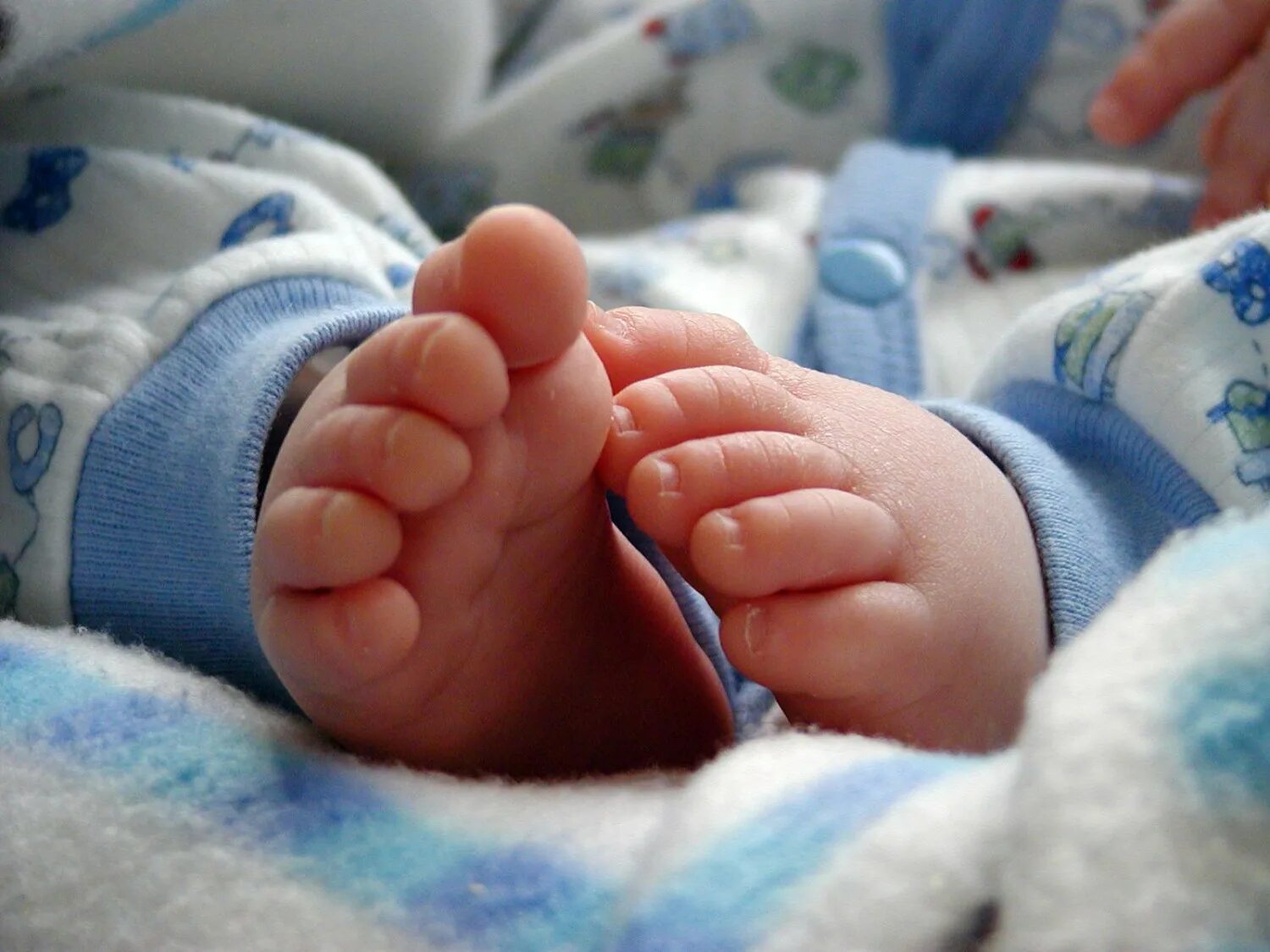Ребенок без лица картинки. Ножки малыша. Ножки новорожденного ребенка. Пяточки новорожденного. Маленькие ножки.
