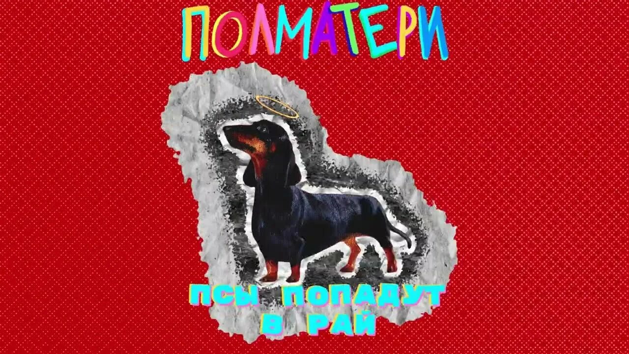 Псы попадают в рай песня speed. Псы попадают в рай полматери. псы попадают в рай полматери обложка. полматери собаки попадут в рай. полматери обложки альбомов.