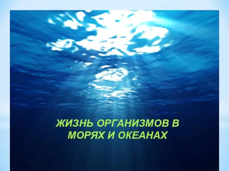 Жизнь организмов в морях. Жизнь организмов в океане. Жизнь организмов в морях и океанах 5 класс биология. Таблица жизнь организмов в морях и океанах 5. Особенности жизни в океане