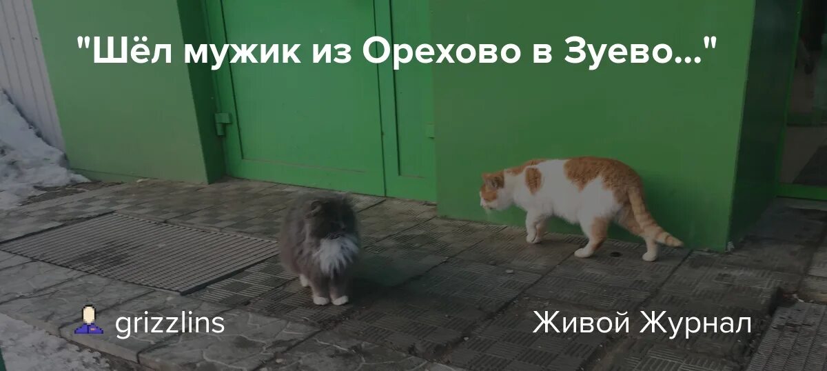 Шел мужик из орехово в зуево