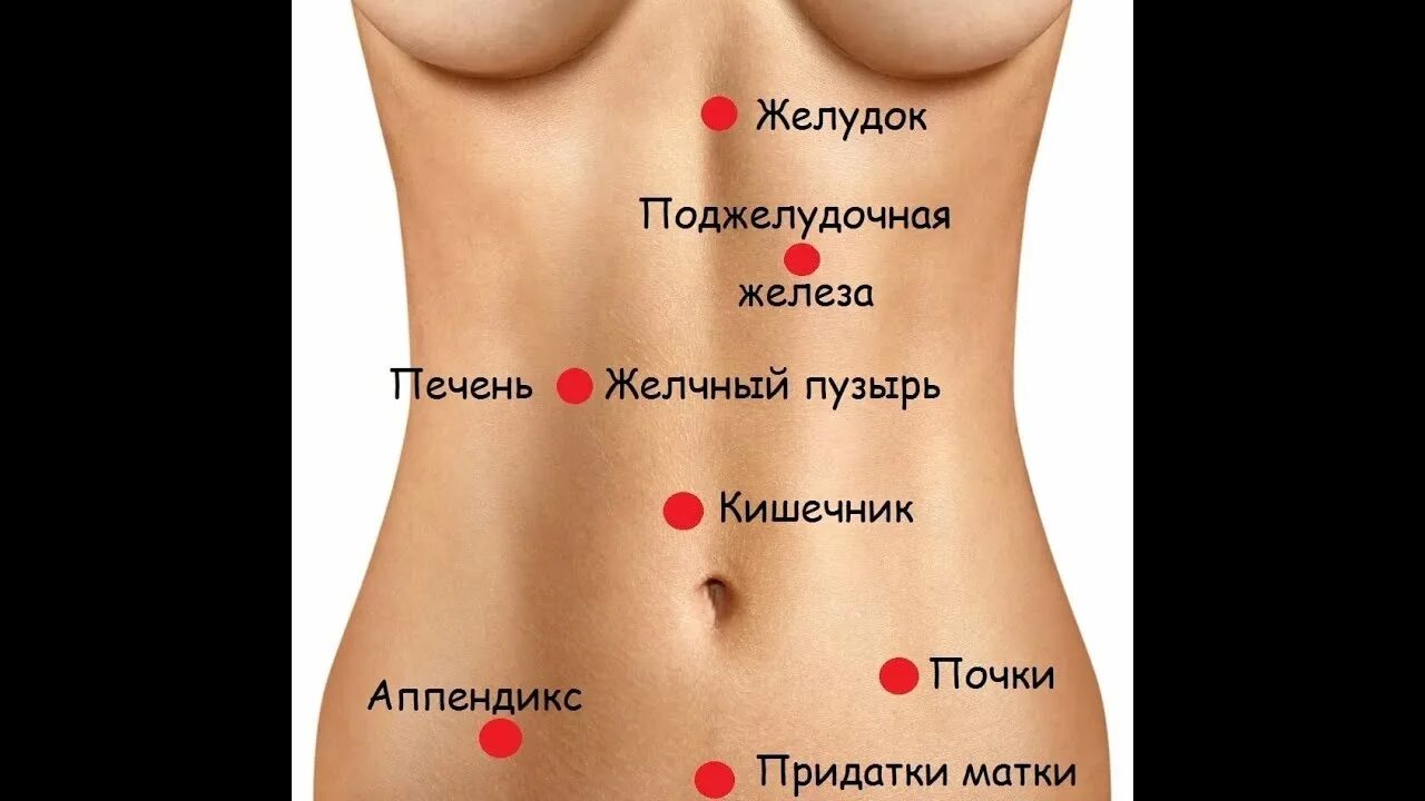 Колющая боль с лева. Органы в нижней части живота. Органы живота у женщин справа. С левой стороны внизу живота. Боли в животе.