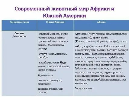 Черты сходства и различия южной америки