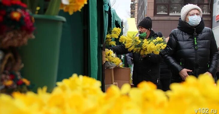 Можно ли ставить мимозу с тюльпанами. Лицо Мимоза тюльпаны улыбка лицо. Мимозы тюльпаны кофе ВК. Тюльпаны с мимозой реальное фото дома.