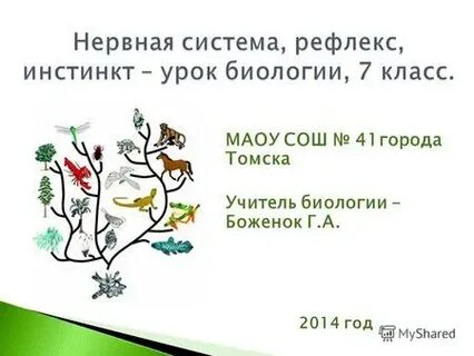 Инстинкт 7 класс