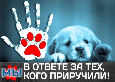 Будь в ответе за свою жизнь