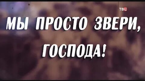 Господа вы звери господа