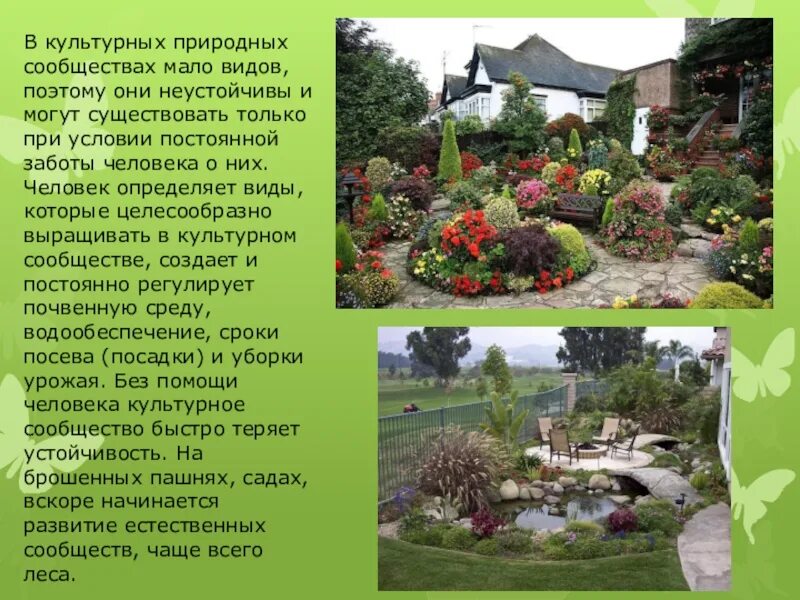 Растительное сообщество сад. Природное сообщество сад. Рассказ о саде. Природное сообщество сад доклад. Тема для презентации сад.