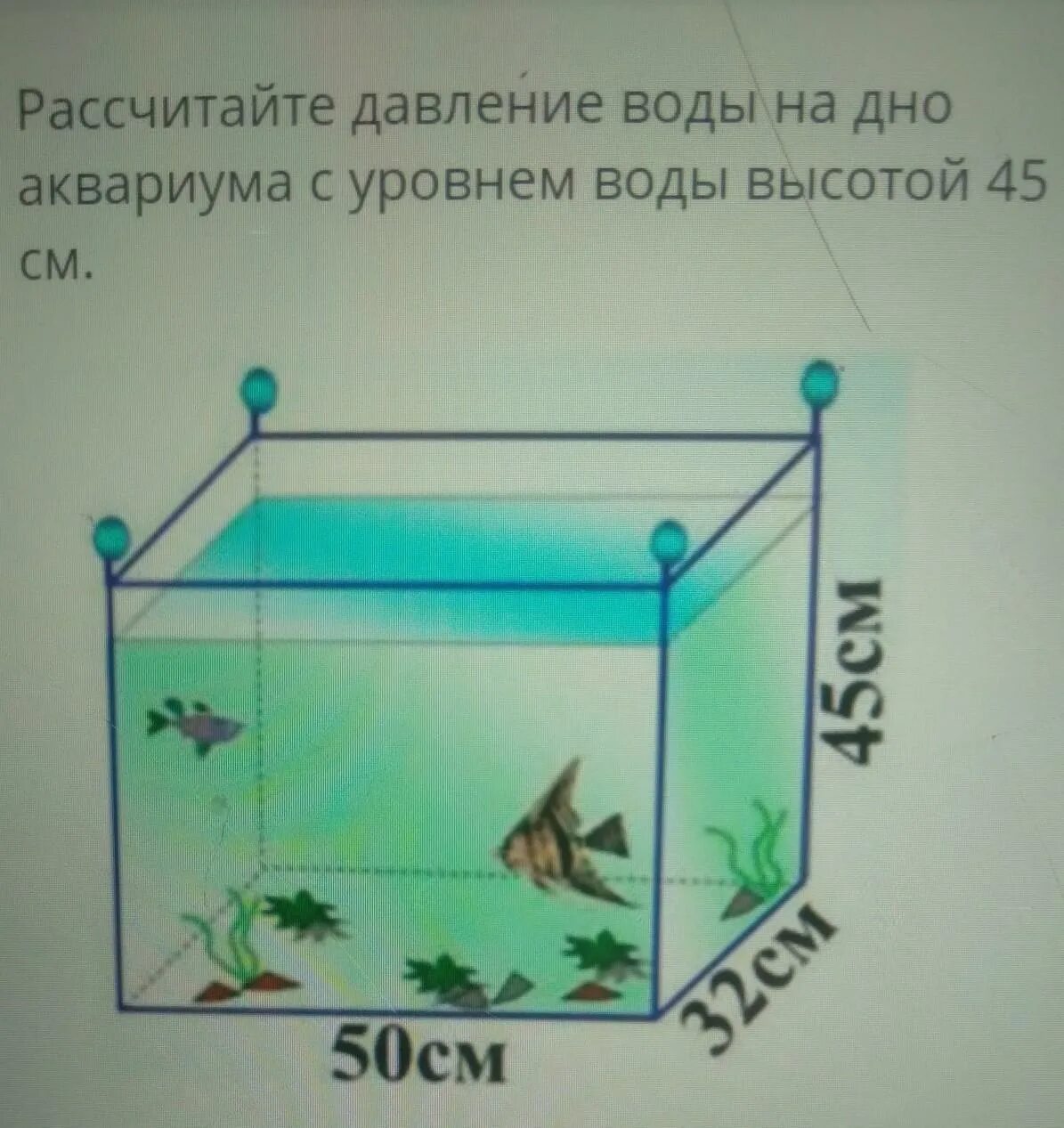 Рассчитайте давление в аквариуме на рыбку. Давление воды на дно аквариума. Давление на стенку аквариума. Давление воды на стенку аквариума. Дно аквариума.