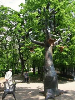 Дерево желаний в кронштадте