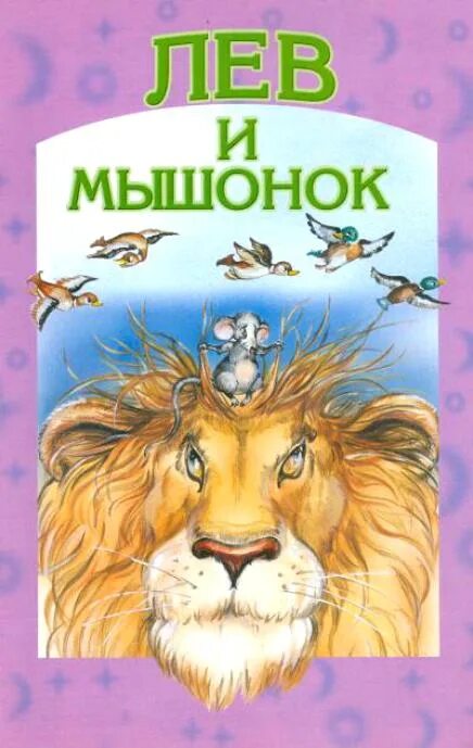 Книжки про Львов. Книги о львах для детей. Сказка про Льва. Детские книги со львами.
