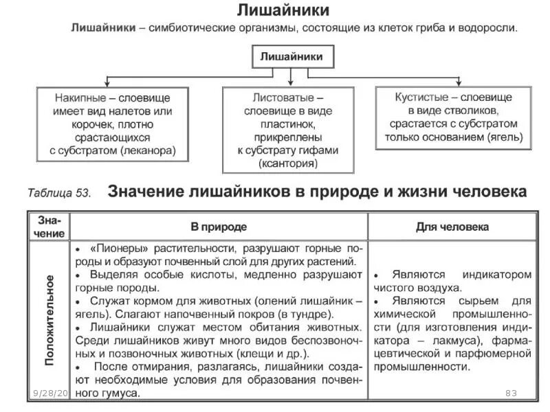 Сравнительная характеристика грибов и лишайников таблица. Царство грибы лишайники таблица по биологии. Бактерии грибы лишайники таблица. Сравнение грибов и лишайников таблица.