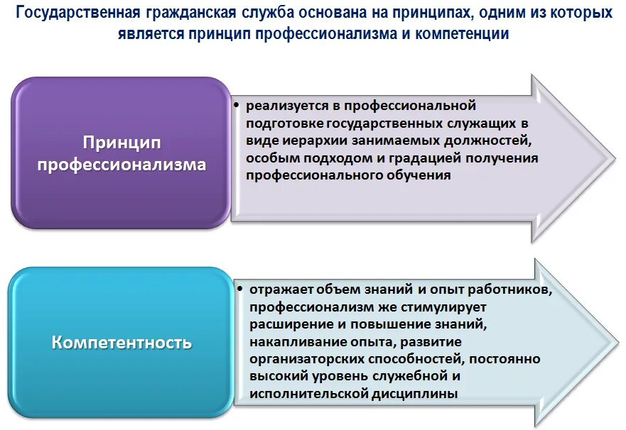Особенности деятельности государственного служащего. Система подготовки государственных служащих. развитие профессиональной компетентности государственных служащих. структура обучения государственных служащих. цели и задачи государственного служащего.