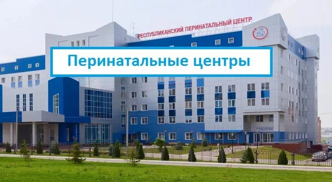 Перинатальный центр направление. Перинатальный центр саранск. истомина 85 хабаровск перинатальный центр.