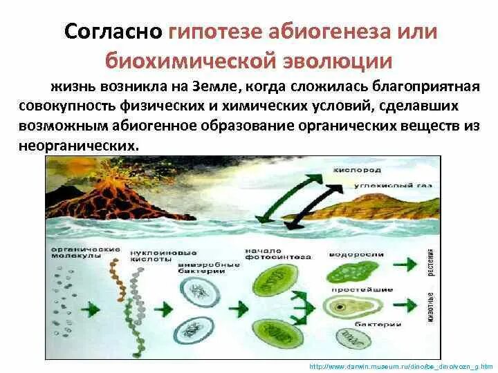 Биохимическая теория возникновения