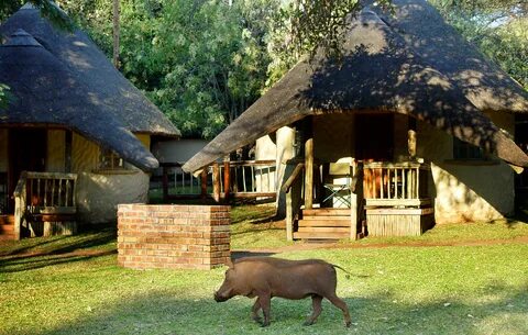 Wildlife wonderland