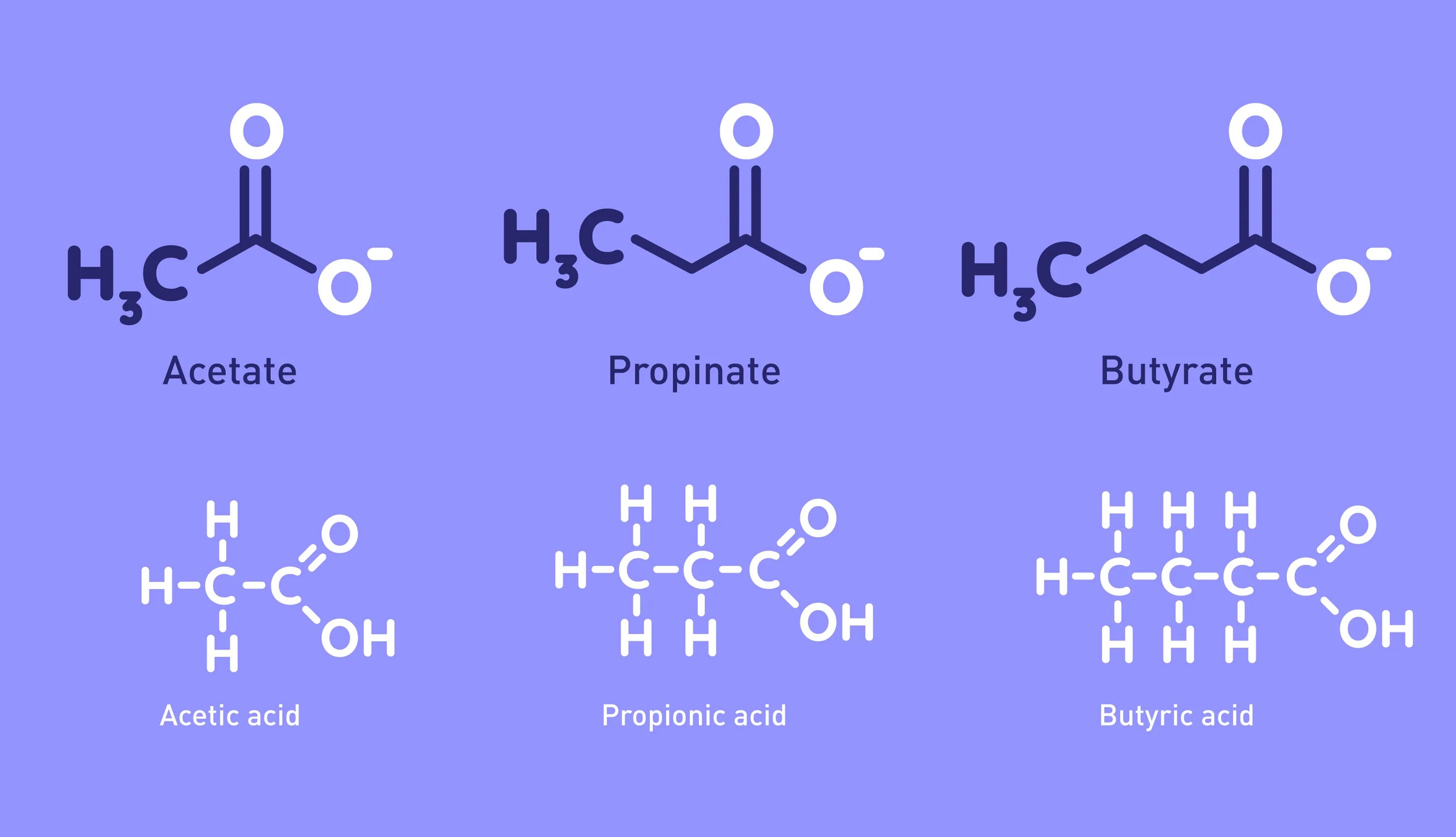 Биохимия микробиома. Short chain fatty acids. Short chain fatty acids. Short chain fatty acids. Флагеллин это микробиология.