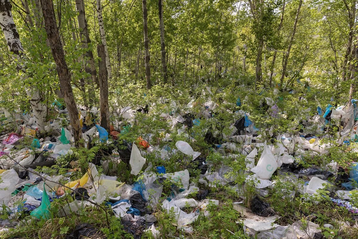 Загрязнение лесов. Загрязнение природы мусором. Пластик в природе. Влияние пластиков на окружающую среду