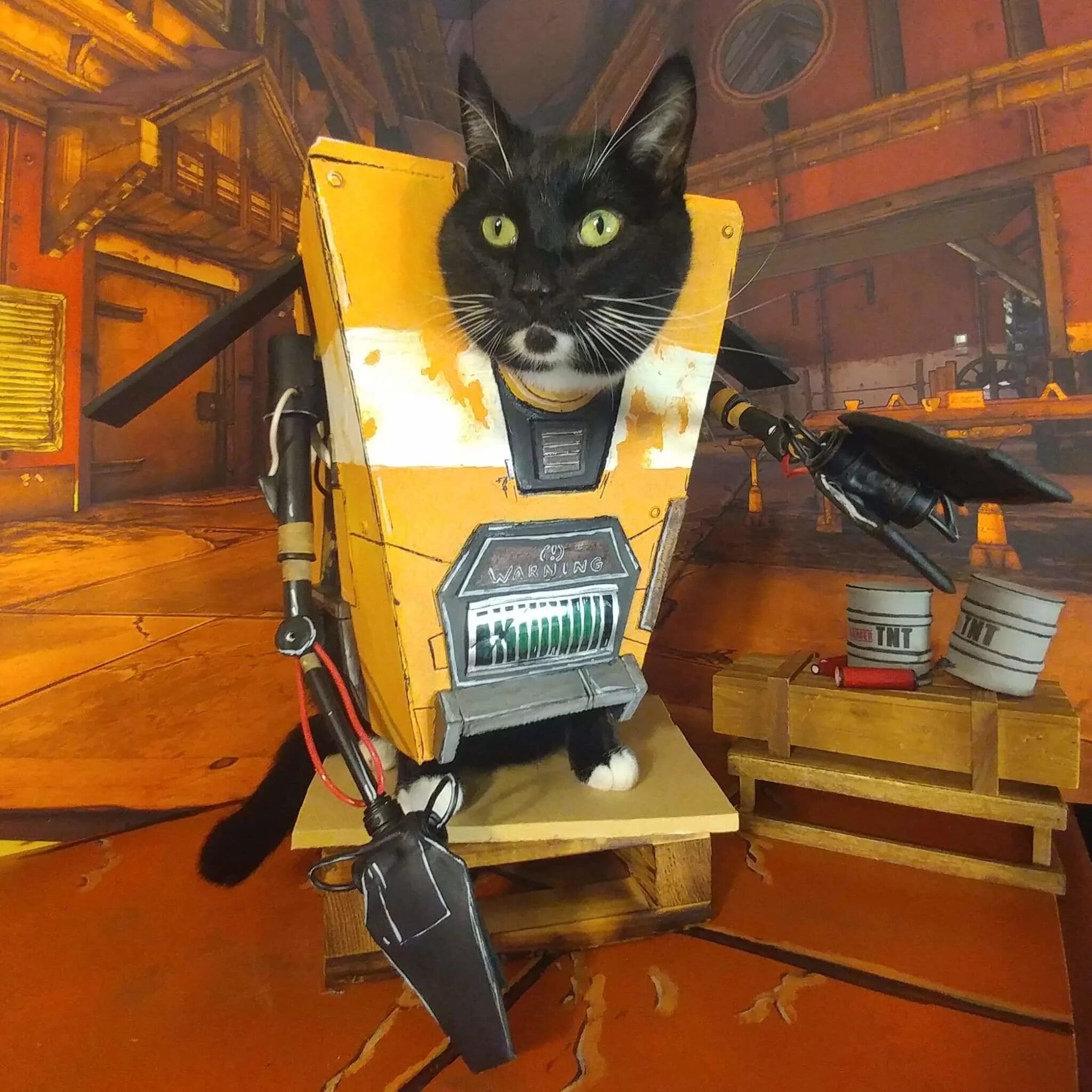 Cat trap