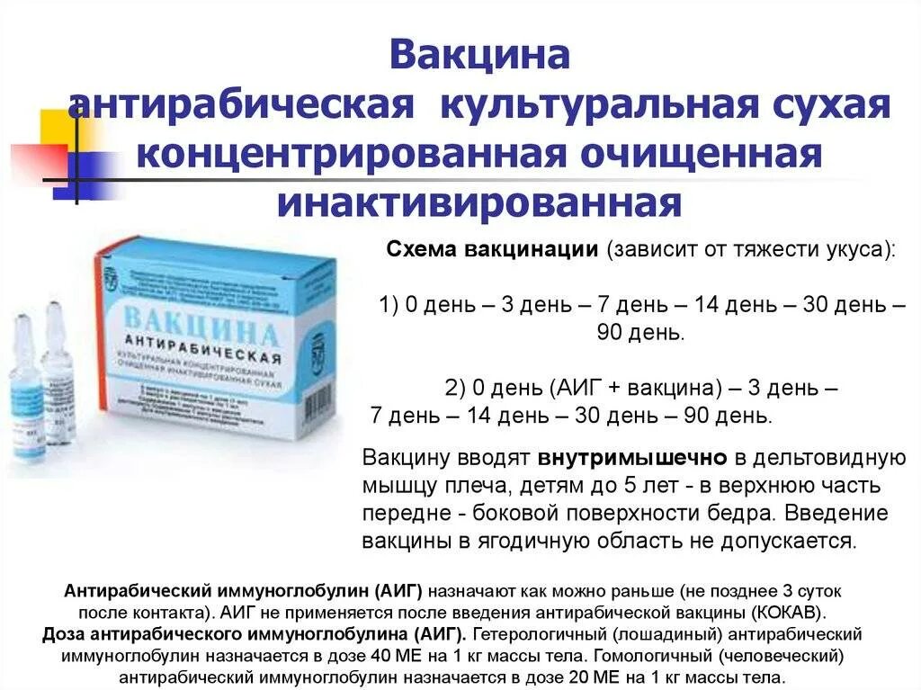 Сделать вакцину от бешенства. Схема вакцинации антирабической вакциной при укусе животных. Вакцина бешенство схема вакцинации. Схема введения антирабической вакцины после укуса. Бешенство схема прививок от бешенства.