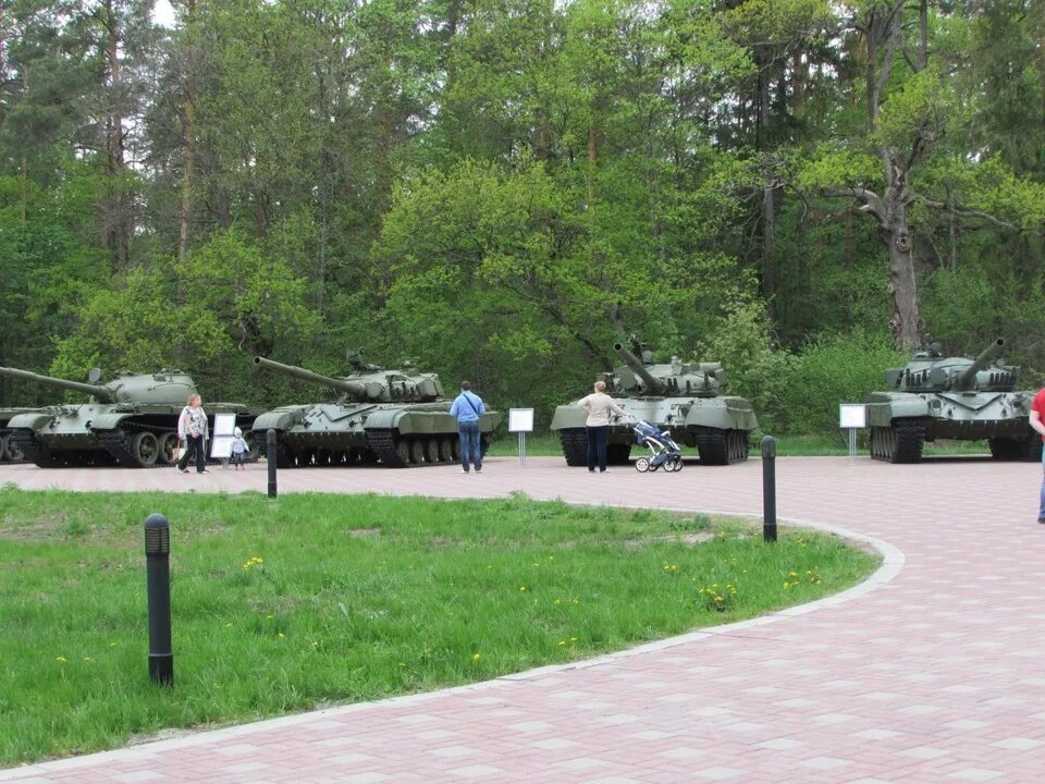 Работа партизанской поляны