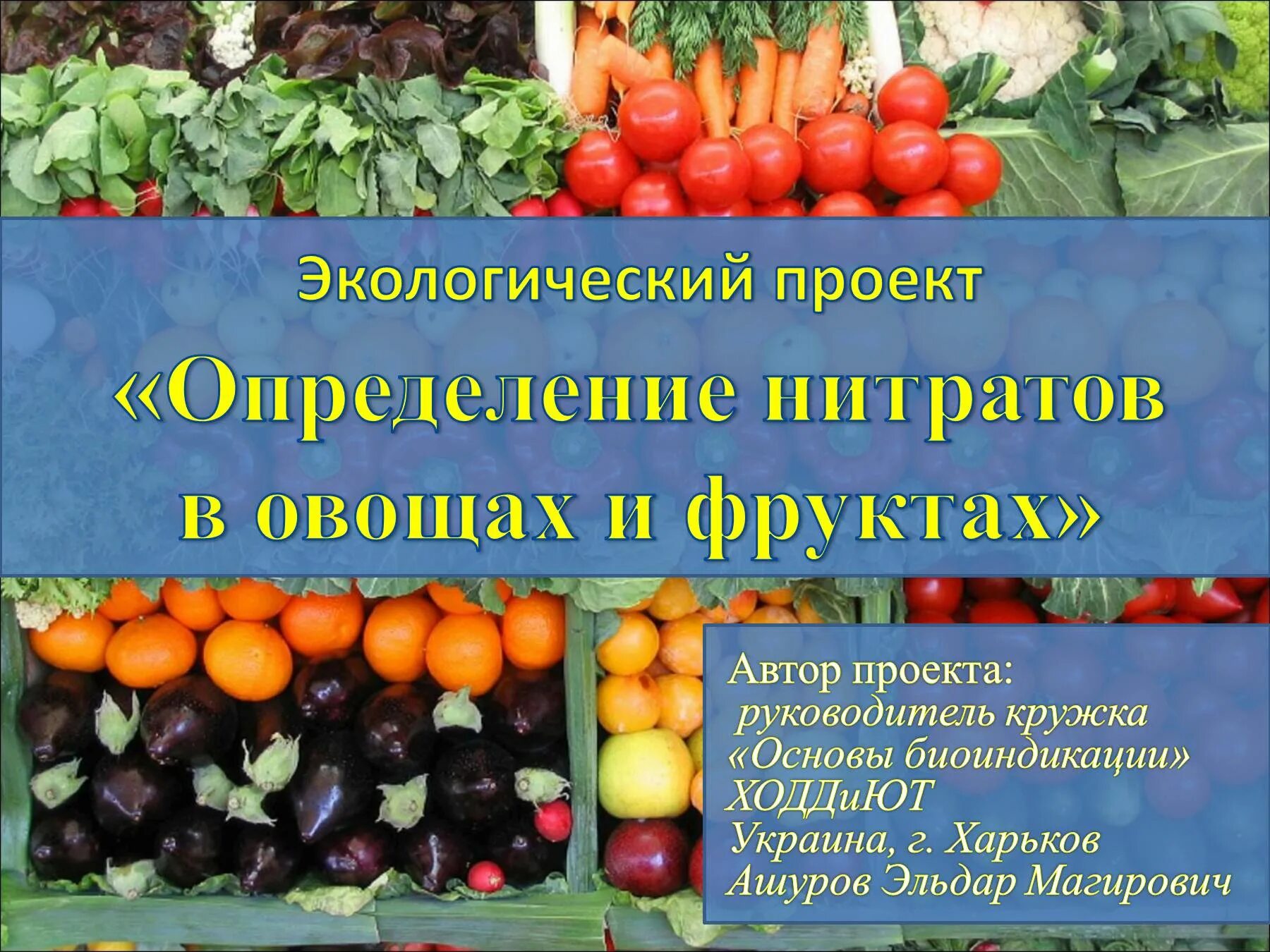 Определение нитратов в овощах. Нитраты и нитриты в овощах и фруктах. нитраты в овощах презентация. проект нитраты в овощах и фруктах.
