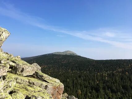 Круглица
