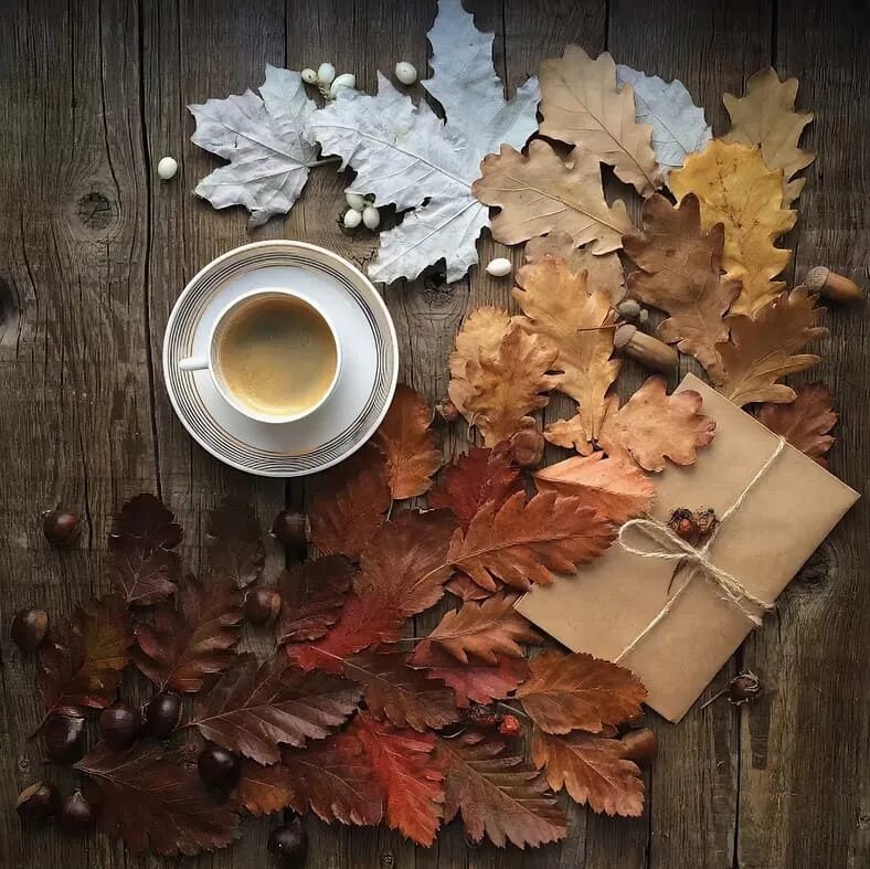 Осеннее кофе. Кофе осень листья. Осенний кофе. Утро осень. Уютная осень.