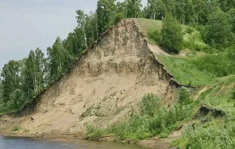 Подгорное томская область чаинский