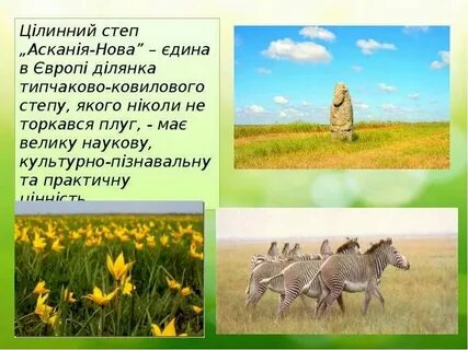 Отметь пункты которые относятся к аскания нова