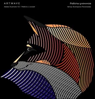 Competition design 2024