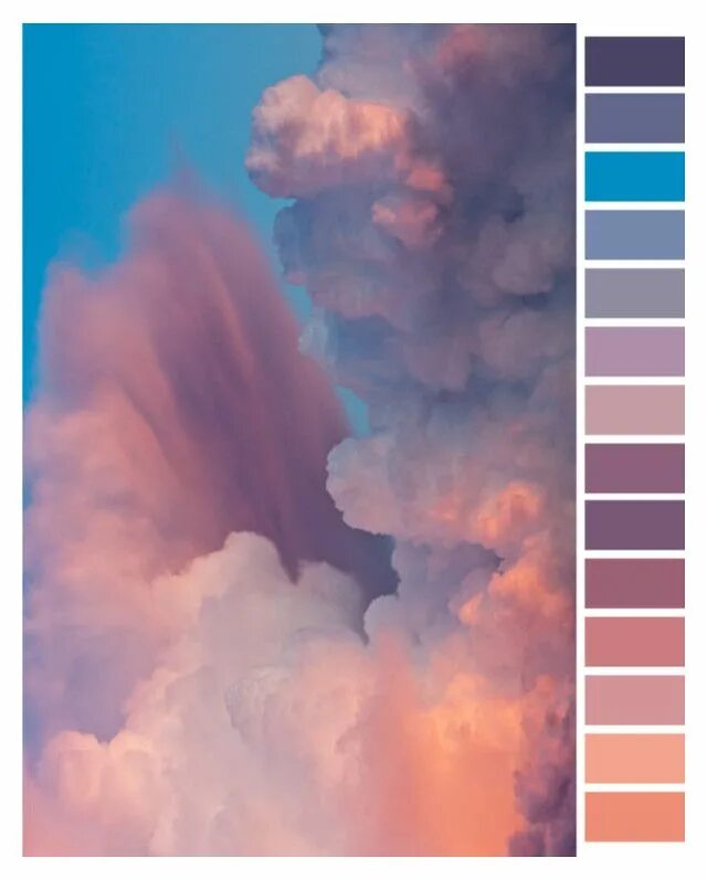 Цветные палитры для артов. Оттенки кожи палитра для саи. Палитра арт без фона. Цветовые палитры для рисования. Палитра референс.