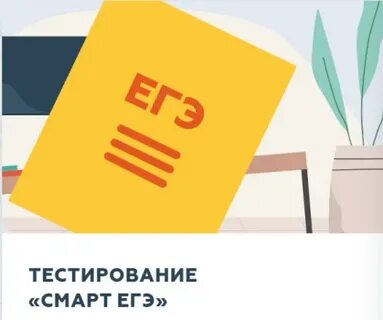 Виды тестов в егэ