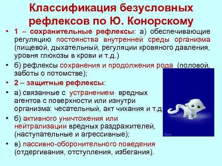 Классификация условных и безусловных рефлексов. Безусловные рефлексы по конорскому. классификация безусловных рефлексов. классификация безусловных рефлексов физиология. безусловные рефлексы физиология.