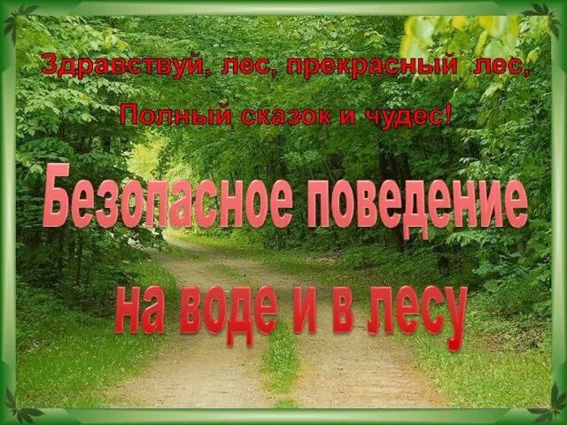 Проект лесных опасностях окружающий мир подробнее Презентация по окружающему миру 2 класс на тему: "Лесные опасности"