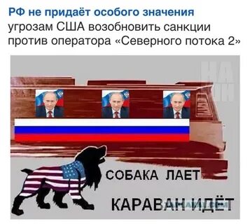 Пословицы собака лает караван идет