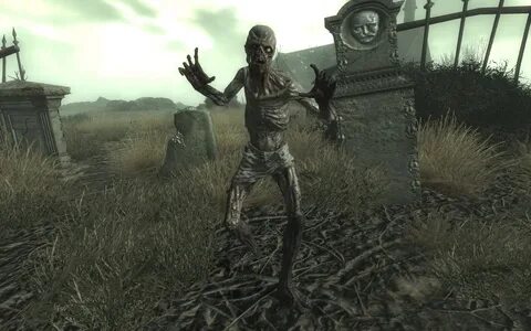 Fallout ghoul
