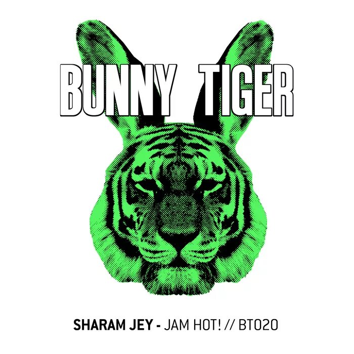 Hot original mix. Bunny Tiger в треугольнике. Jey надпись. Sharam Jey - Riders.