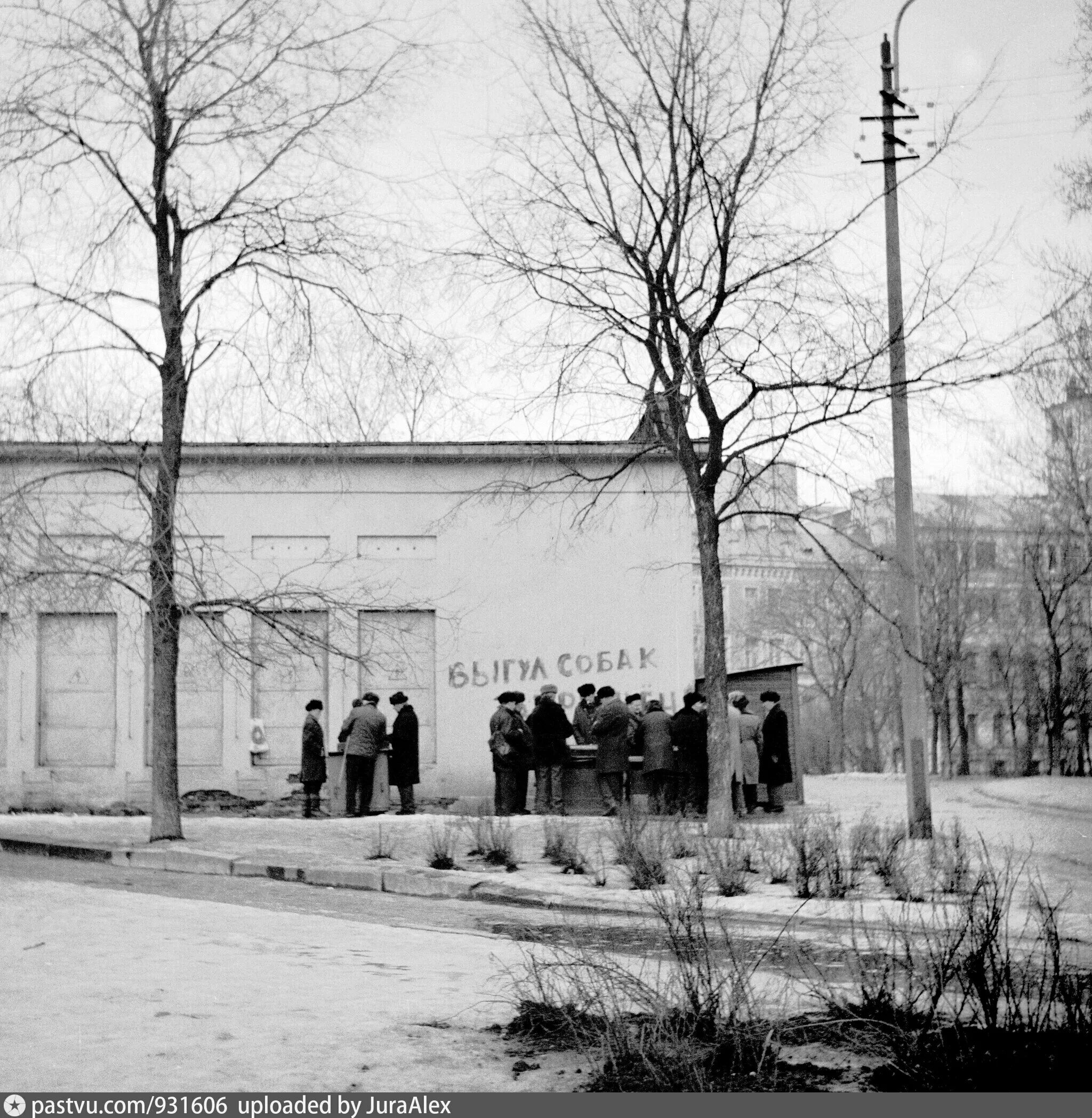 Сад Олимпия Санкт-Петербург. Сад Олимпия Санкт-Петербург история. Сад Олимпия в 1940х СПБ. Парк Олимпия СПБ.