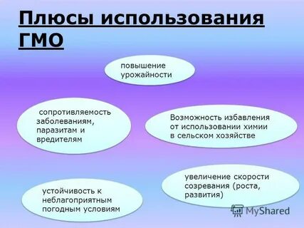 Достоинства и недостатки генно модифицированных продуктов